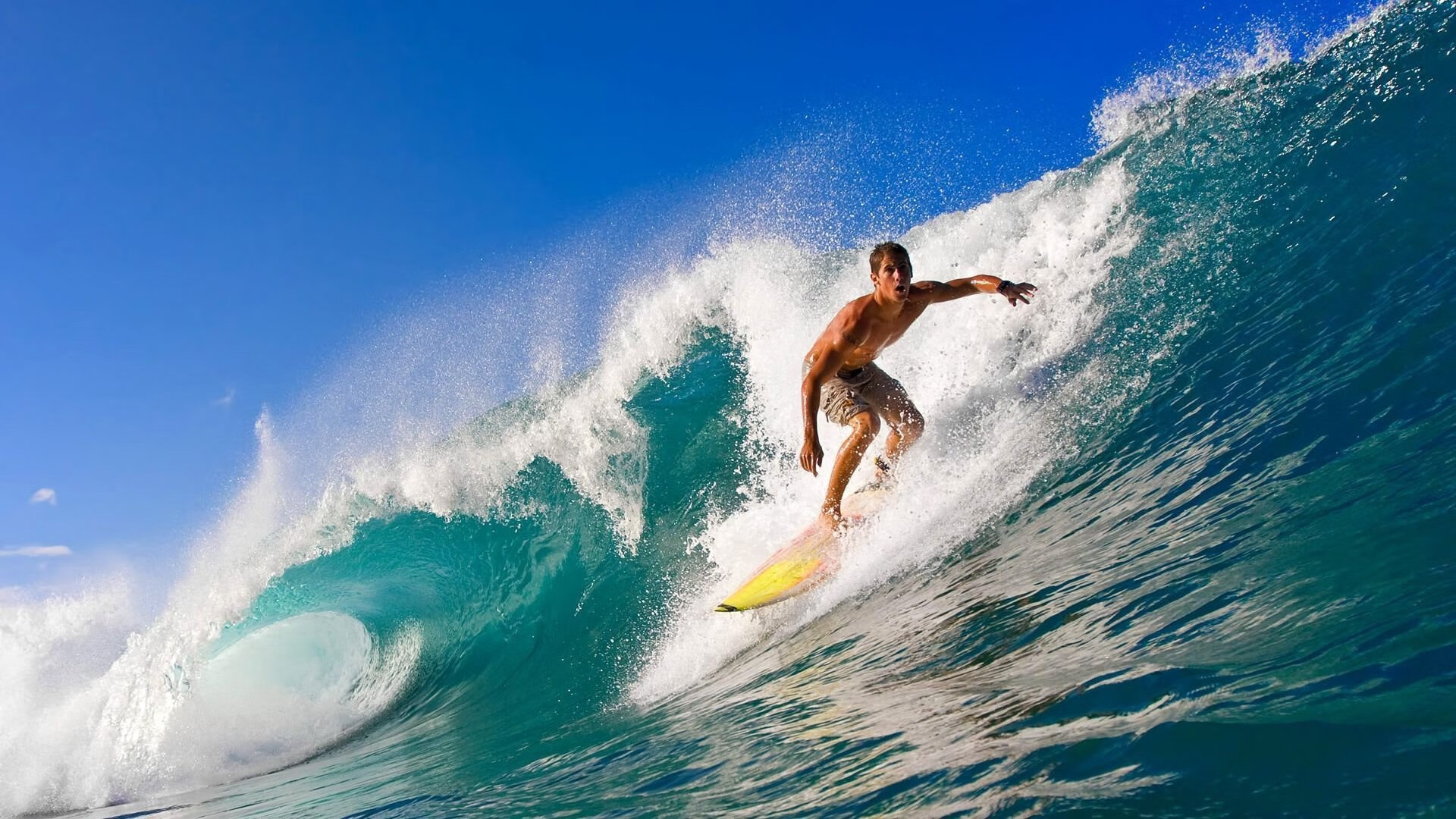 《FIFA》虚拟足球世界杯:线上线下同步盛世包容,冠军誓夺!